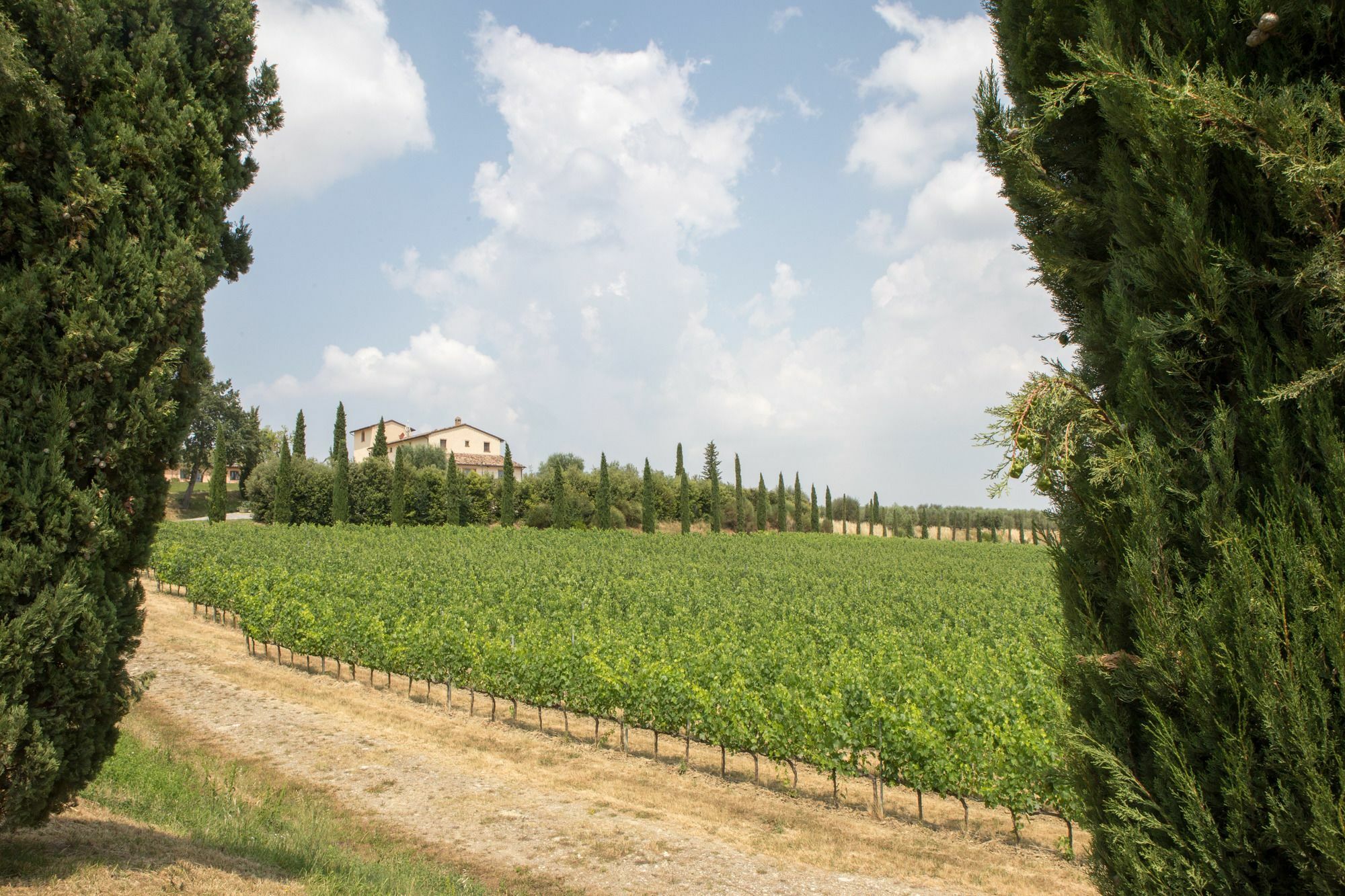 Le Buche Wine Resort&Spa Macciano Εξωτερικό φωτογραφία