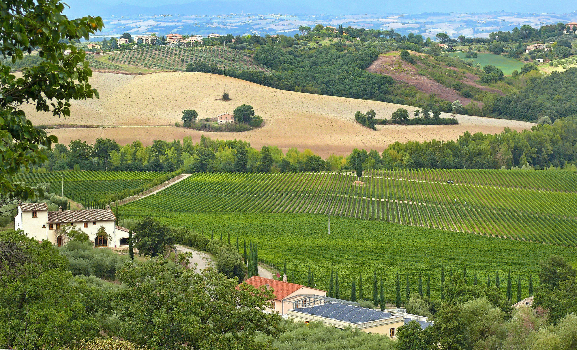Le Buche Wine Resort&Spa Macciano Εξωτερικό φωτογραφία
